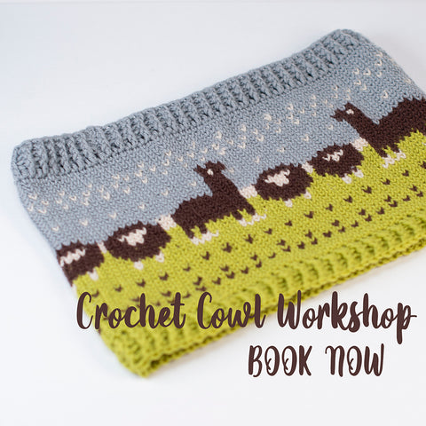 Crochet Cowl Workshop