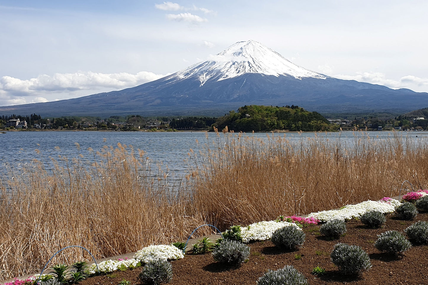 Japan 13-29 April 2025 - Fully escorted from Sydney