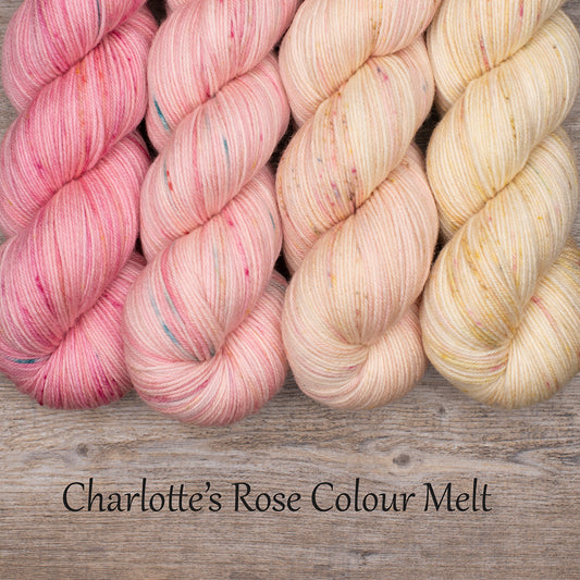 Colour Melt 2, 4, 8, 10 or 14ply, 100% Superwash Merino, 4 x 100g skeins